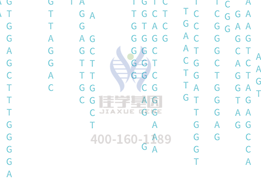 【yp街机(中国)基因检测】<font color='red'><font color='red'>庞贝</font>氏</font>症（Pompe disease)基因解码、基因检测