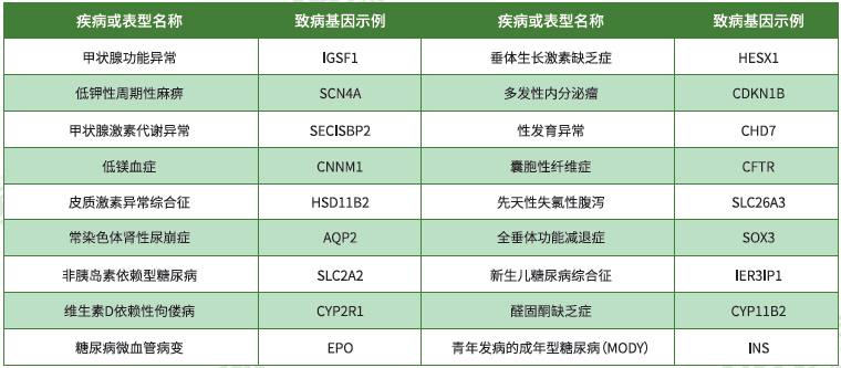 【yp街机(中国)基因检测】<font color='red'><font color='red'>内分泌</font>及<font color='red'>代谢</font><font color='red'>系统</font><font color='red'>疾病</font></font>致病基因鉴定基因解码